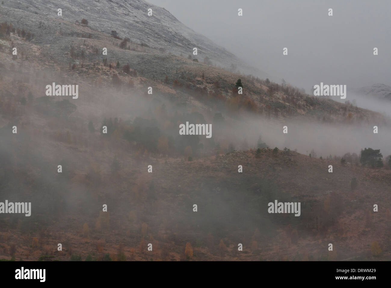Low cloud on hillside, Glen Affric Stock Photo