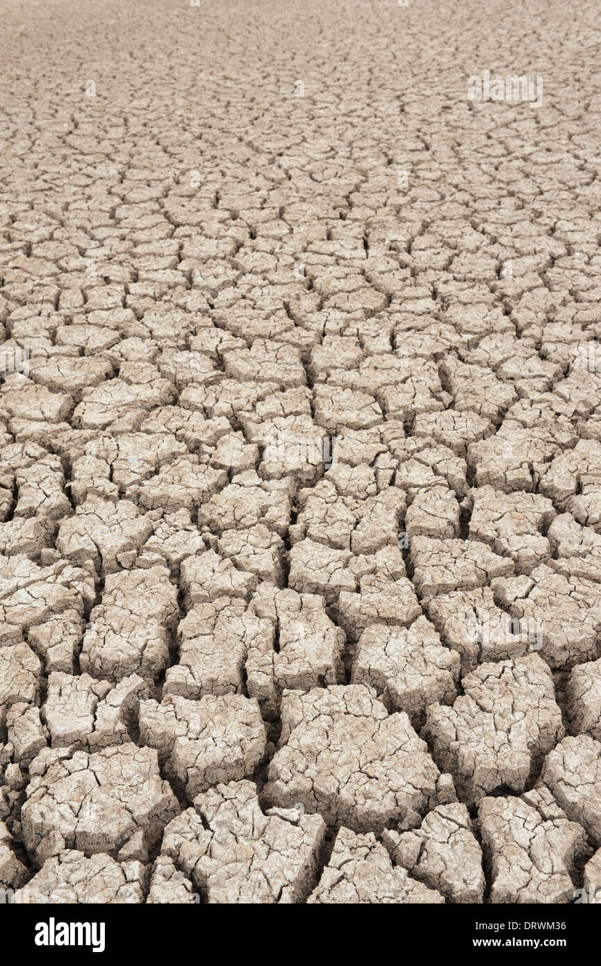 Dry soil texture of a barren land Stock Photo