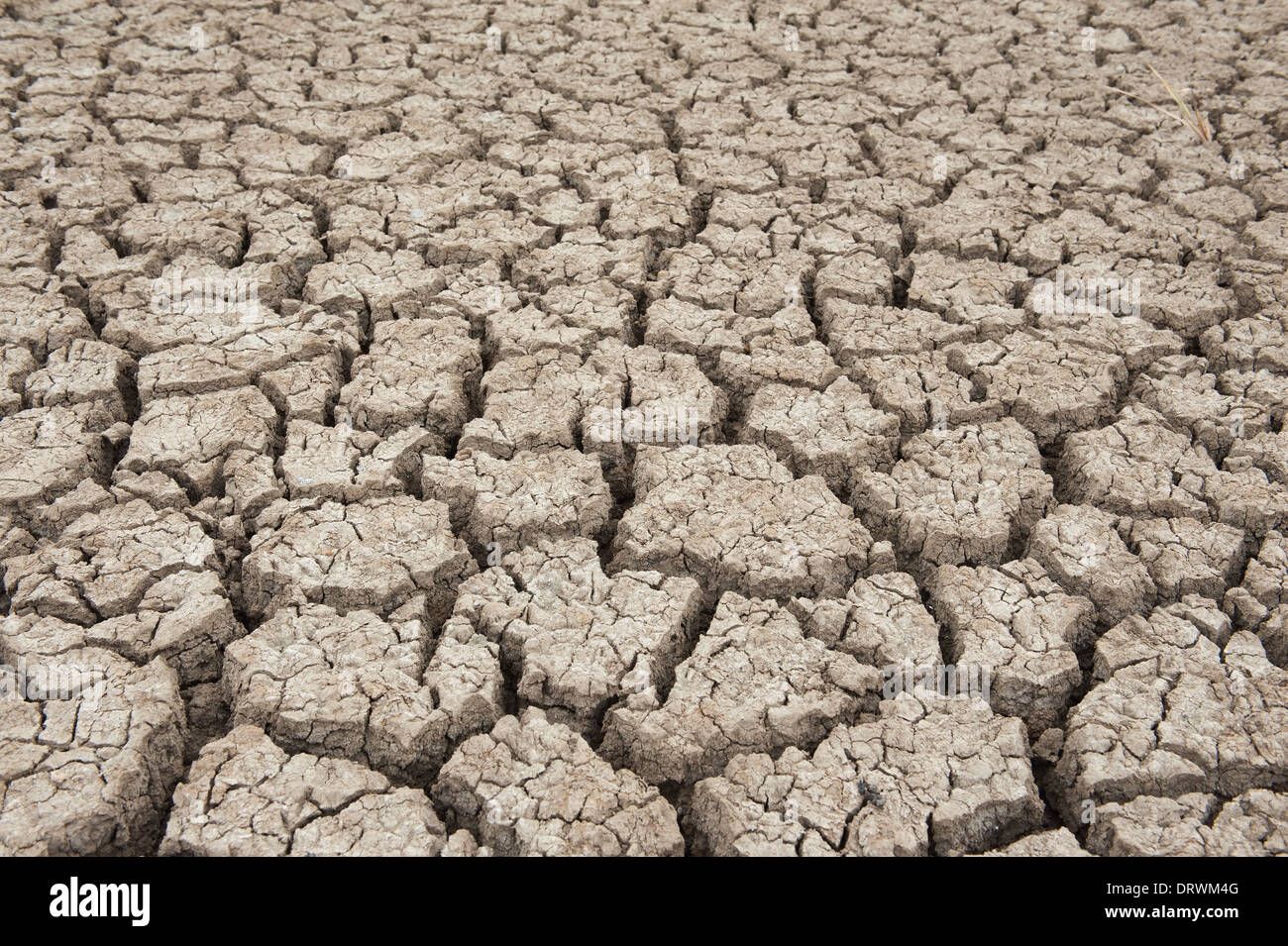 Dry soil texture of a barren land Stock Photo