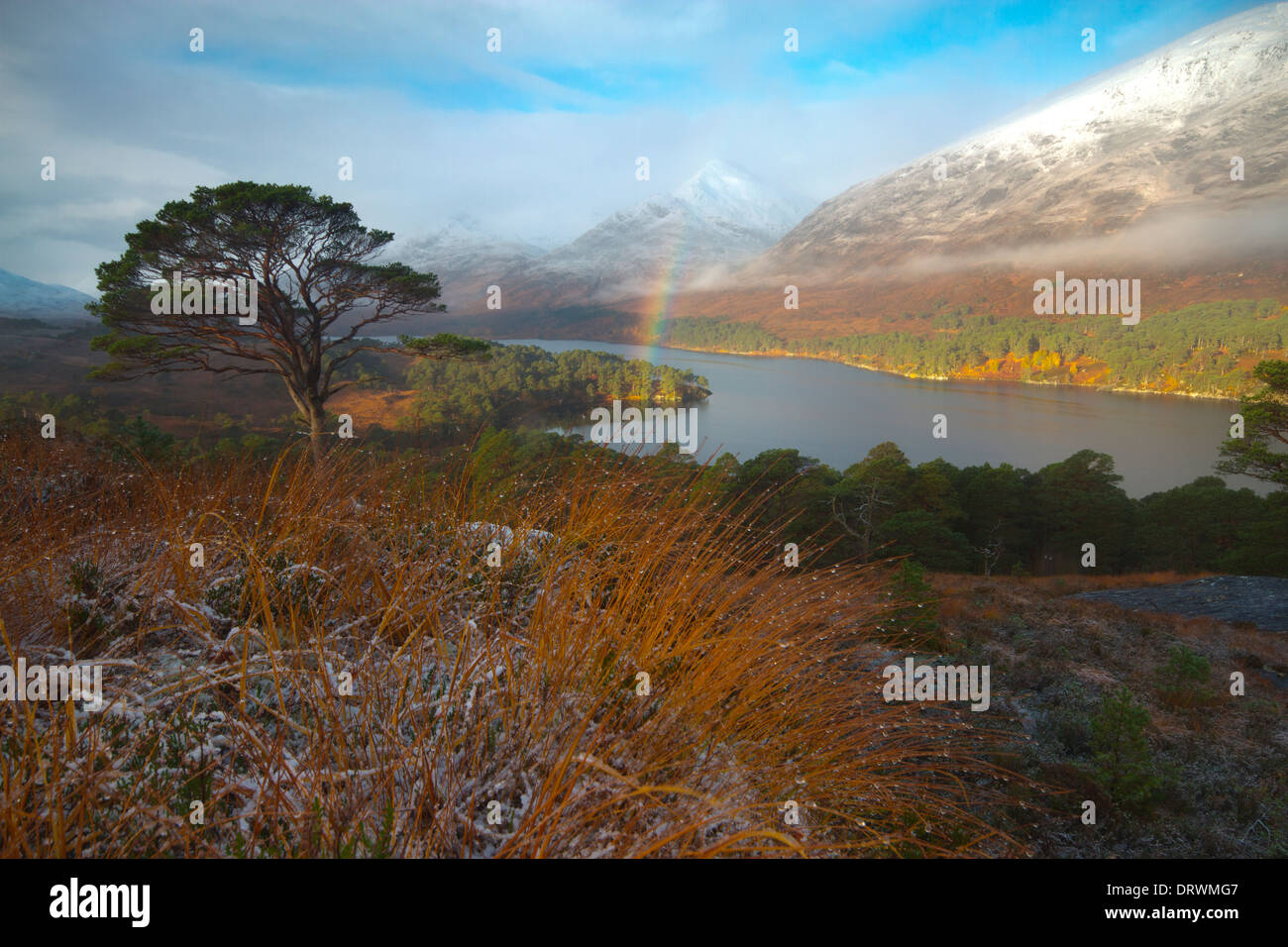 Glen Affric, Ross and Cromarty Stock Photo