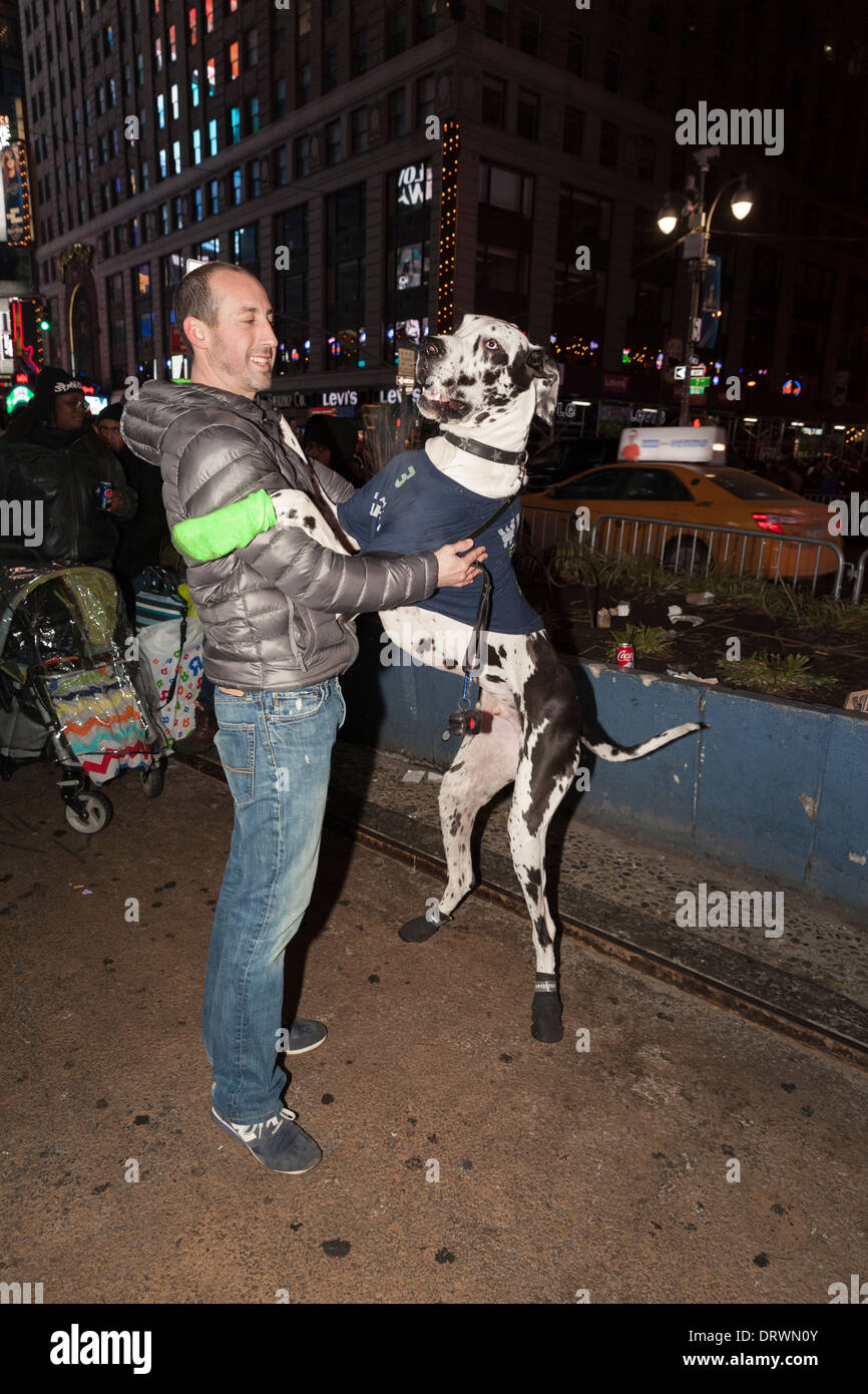 Unidentified Seattle Seahawks football team fan and dog wearing Russel Wilson jersey visit New York Times Square Boulevard Stock Photo