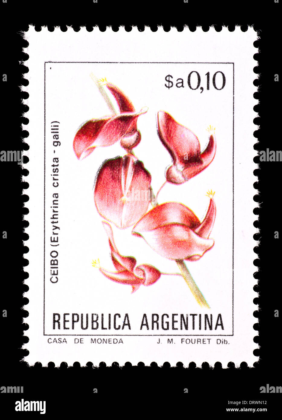 Postage stamp from Argentina depicting an tree flower (Erythrina Stock