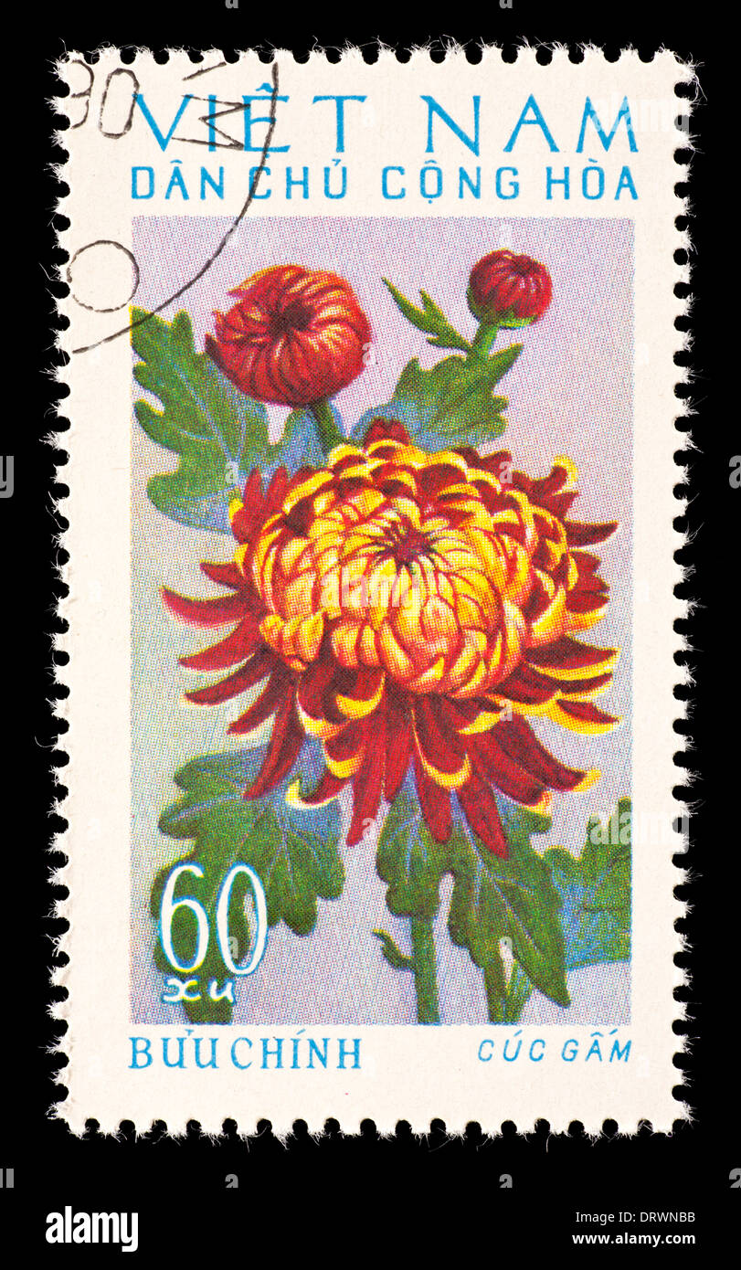 Postage stamp from Vietnam depicting Gam chrysanthemums Stock Photo - Alamy