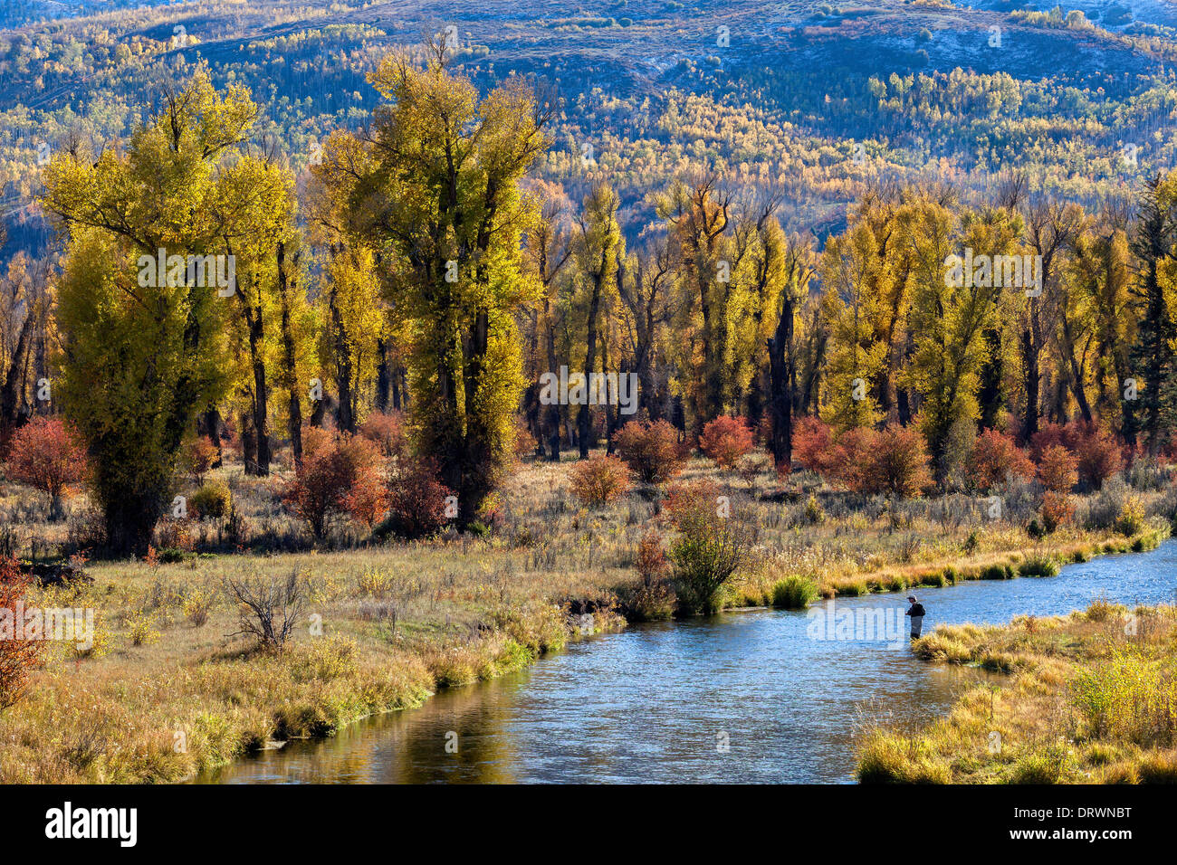 Fly fishing in autumn Stock Photo