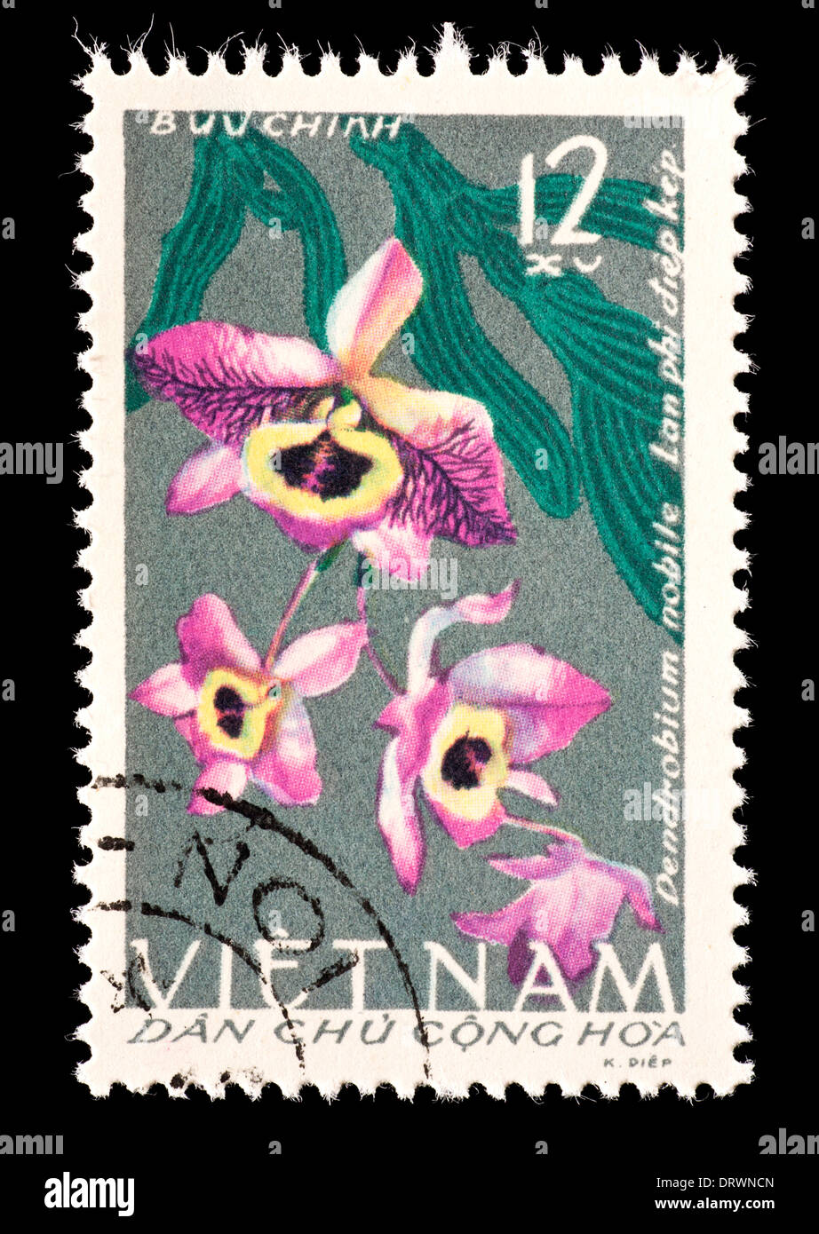 Postage stamp from Vietnam depicting an orchid (Dendrobium nobile Stock ...