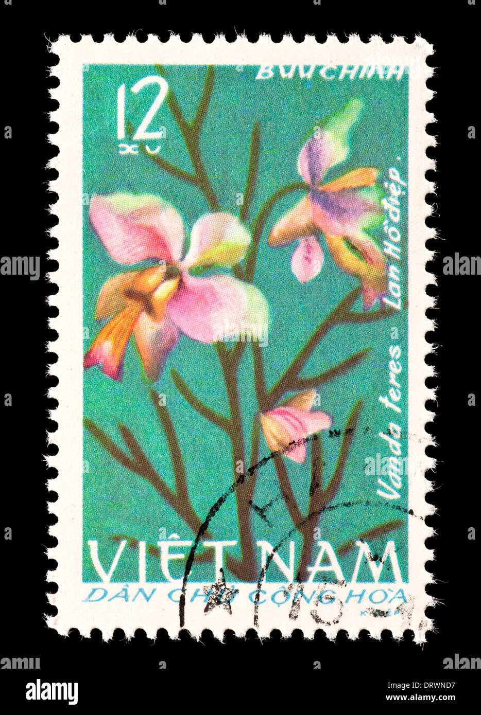 Postage stamp from Vietnam depicting a vanda orchid (Vanda teres) Stock Photo