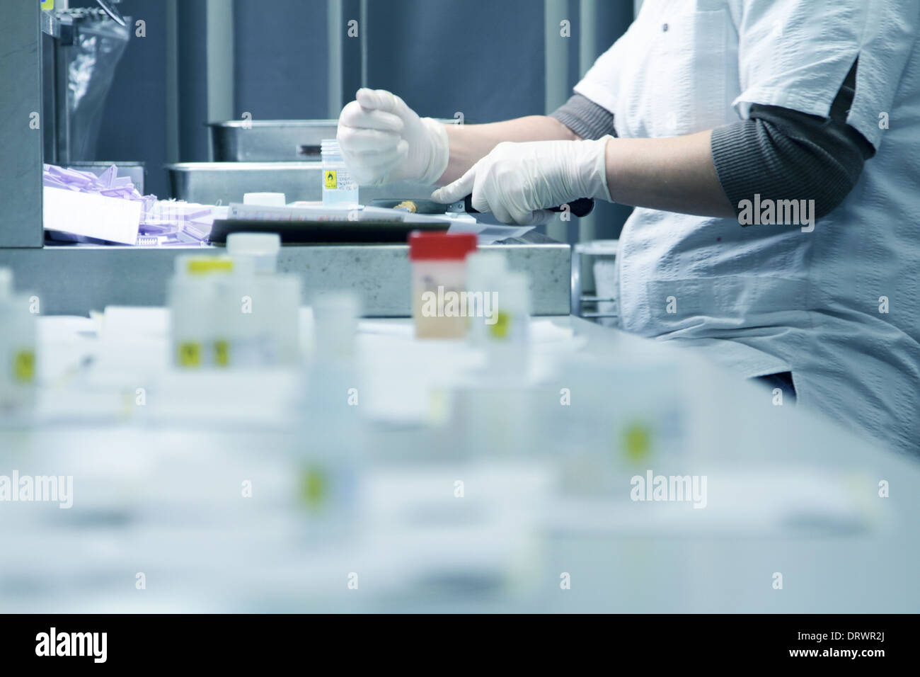 histology samples preparing in a pathology labor Stock Photo