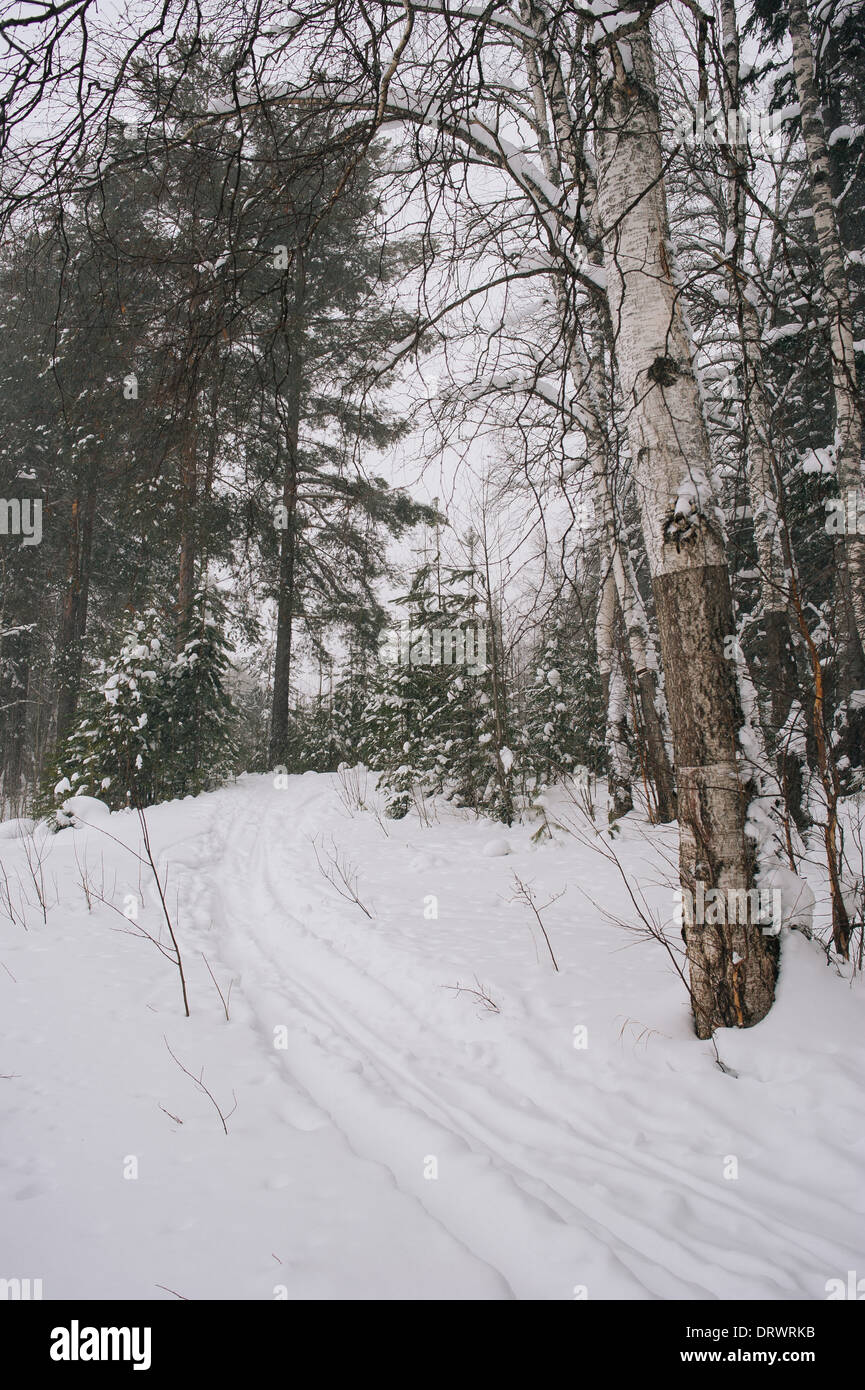 Snowfall white hi-res stock photography and images - Alamy