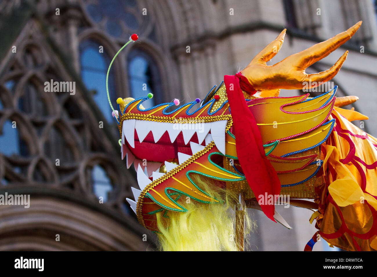Chinese costume zodiac animals. Traditional golden New Year dragon dance festival inChinatown February, 2104.   High pole dragon dance at the Chinese New Year in Albert Square, Manchester the North's biggest Chinese New Year celebrations. Manchester's Chinatown is one of Europe's biggest tucked into a narrow grid of streets behind Piccadilly Gardens.  With a 175-foot paper dragon, a lion dance, martial arts demonstrations, the Dragon Parade is one of the highlights of Manchester's annual events calendar. Stock Photo