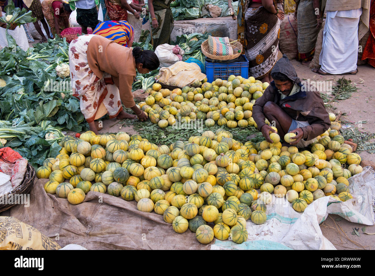 Indian market traders sorting fresh melons at an Indian market. Andhra Pradesh, India Stock Photo