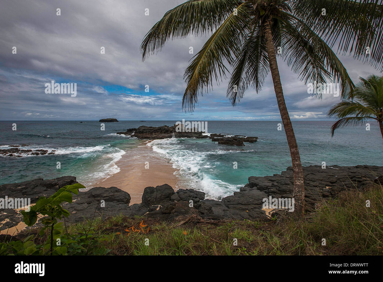 Landscape with the coconut-tree, ocean, sand and cloudy sky, Boi Beach