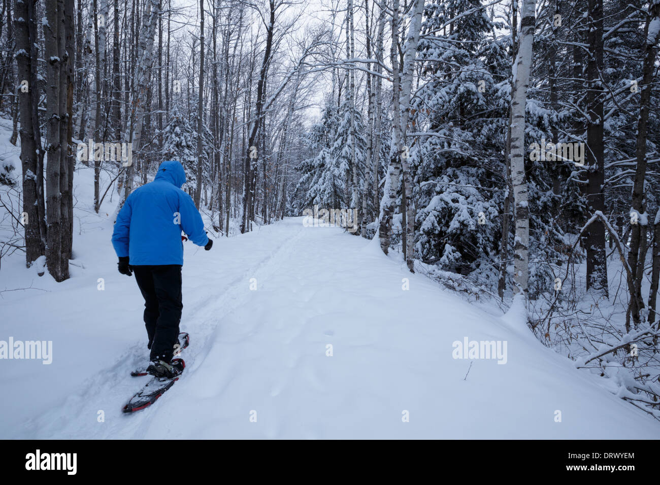 Snowshoe new hampshire hires stock photography and images Alamy