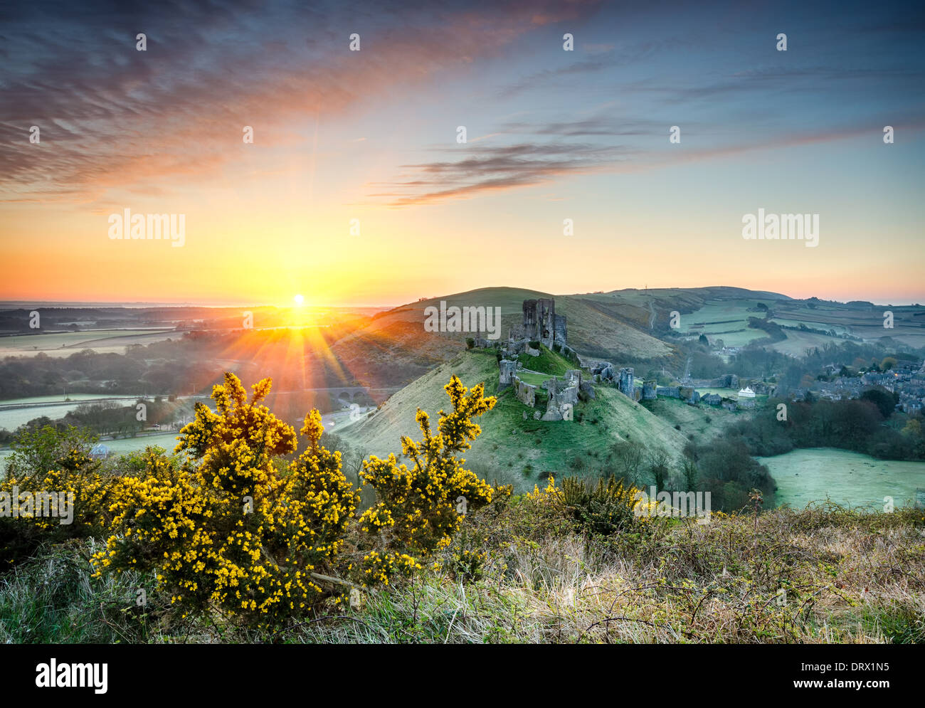 Sunrise overlooking the ruins of Corfe Castle in Dorset Stock Photo