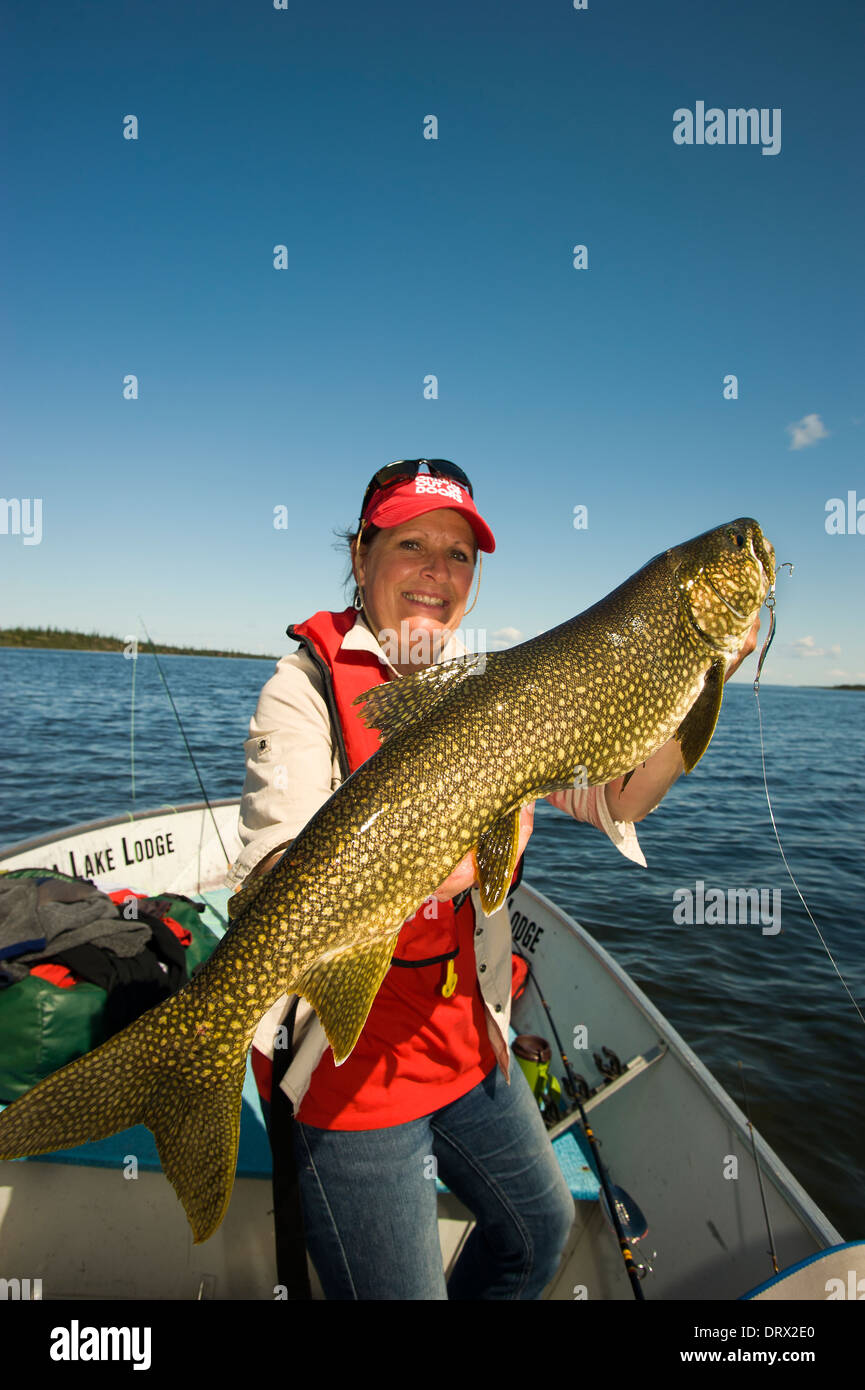 Woman angler holds up a huge summer lake trout caught from a boat in a lake in Northern Ontario. Stock Photo