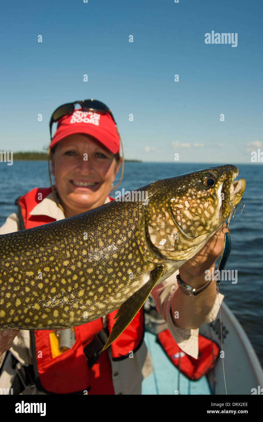 Woman angler holds up a huge summer lake trout caught from a boat in a lake in Northern Ontario. Stock Photo