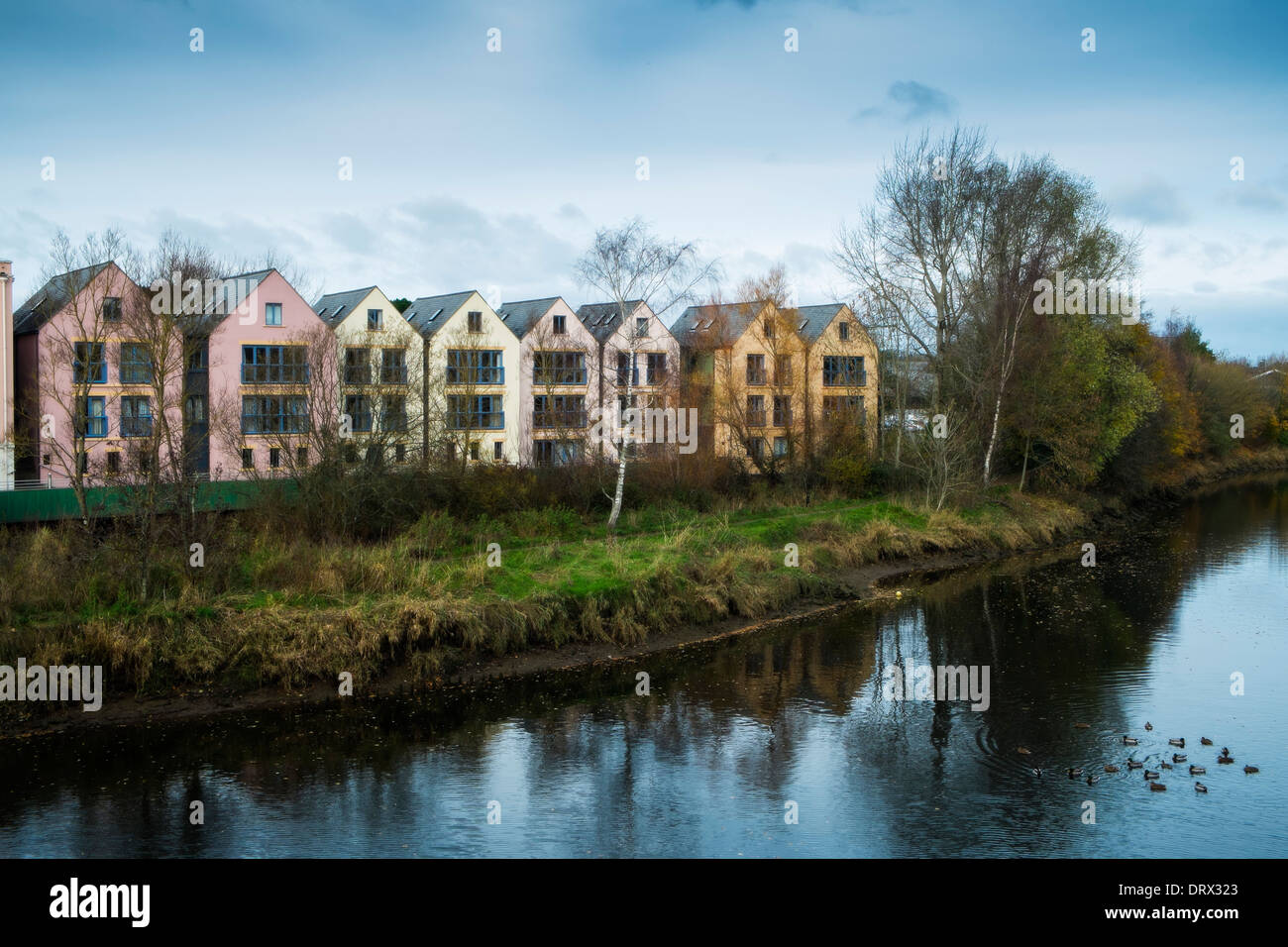 Riverside homes, Totnes. Devon. UK Stock Photo Alamy