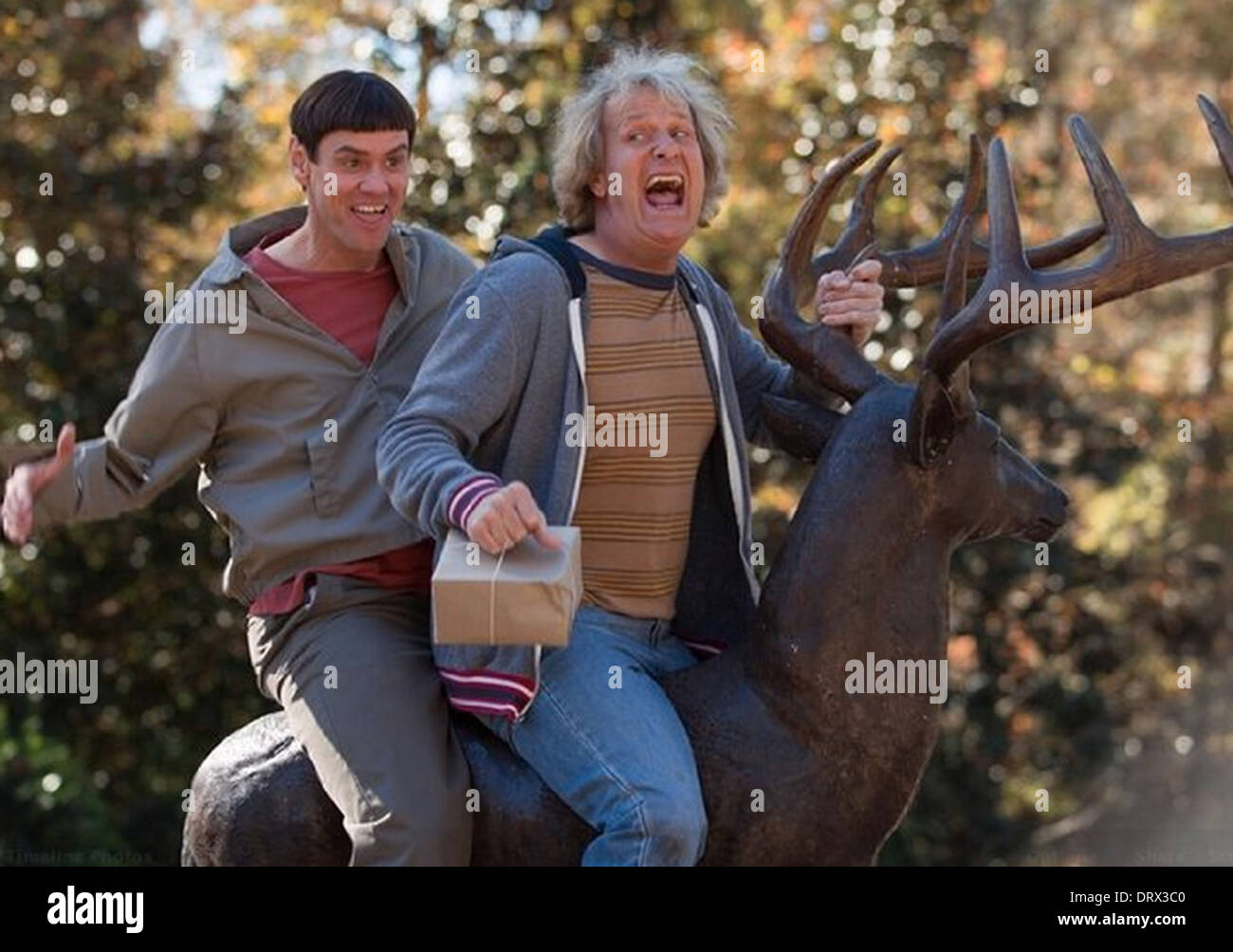 DUMB AND DUMBER TO 2014 Red Granite Pictures film with Jim Carrey and Jeff Daniels Stock Photo