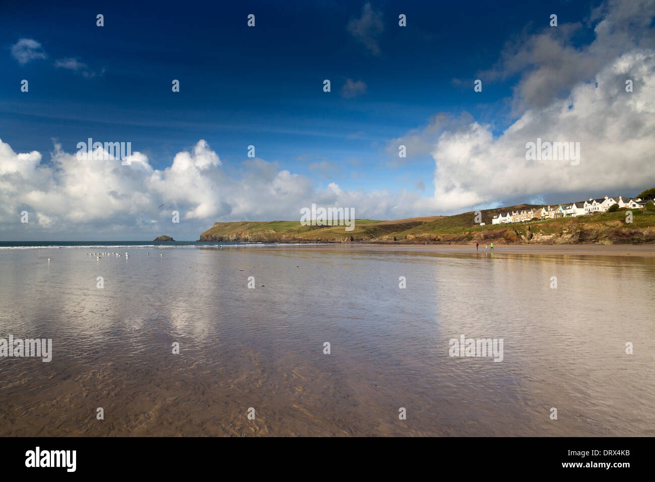 New Polzeath; Cornwall; UK Stock Photo Alamy