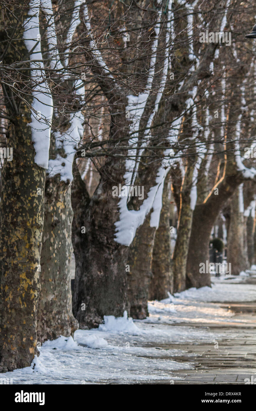 Snow on the beach, Anguillara Sabazia, Italy Stock Photo