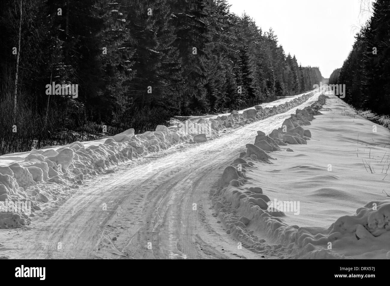 Forest aside snowy road in winter Stock Photo