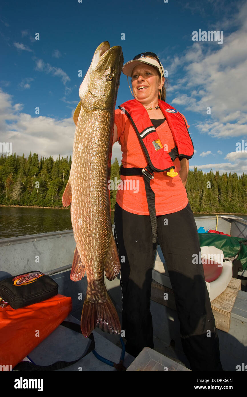Pike release hi-res stock photography and images - Page 2 - Alamy