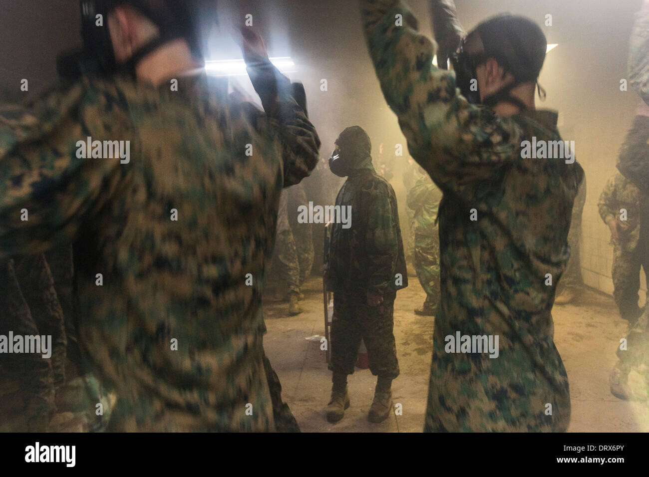Usmc parris island hi-res stock photography and images - Alamy