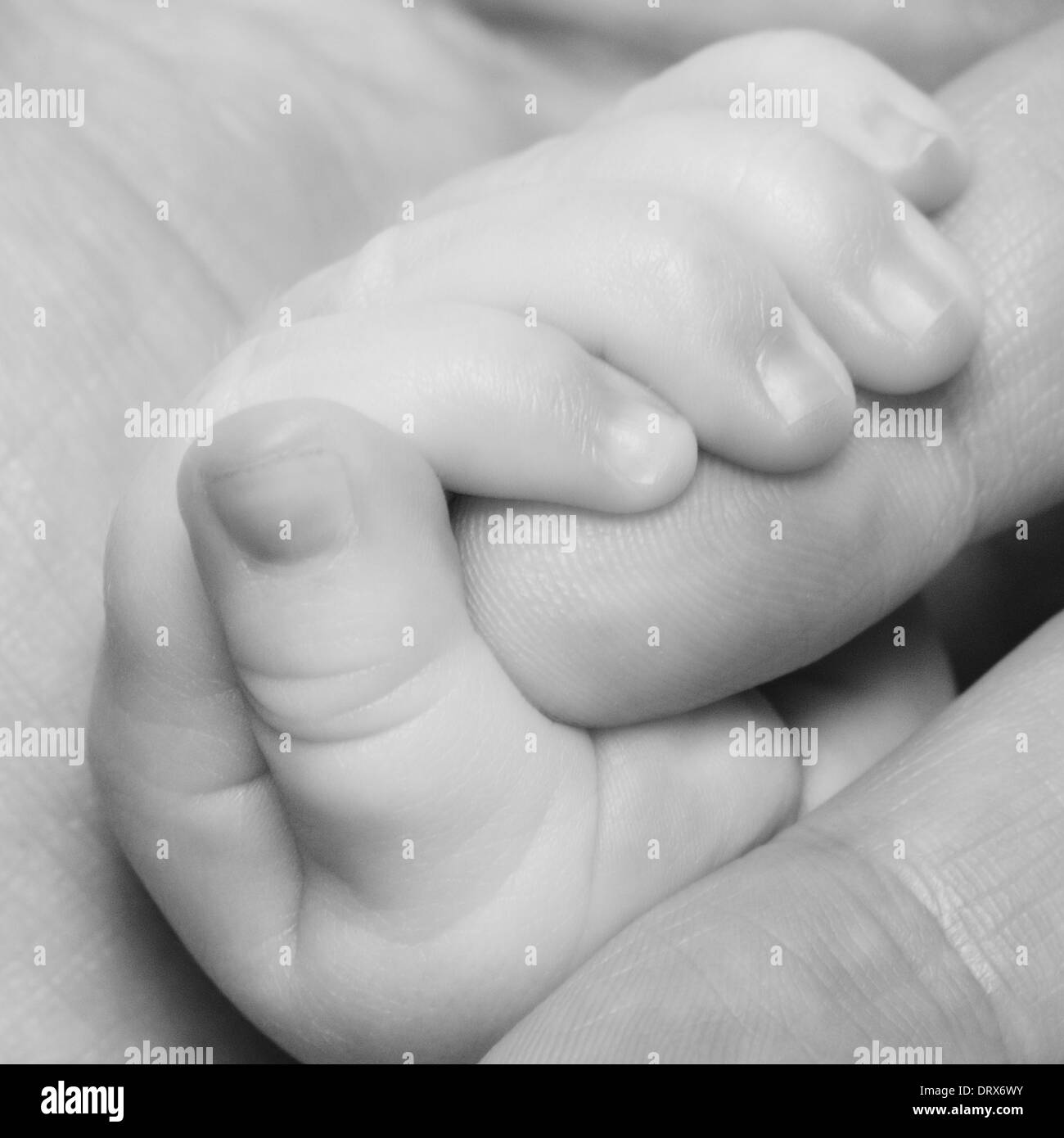 tiny baby's hand holding onto it's parents finger Stock Photo