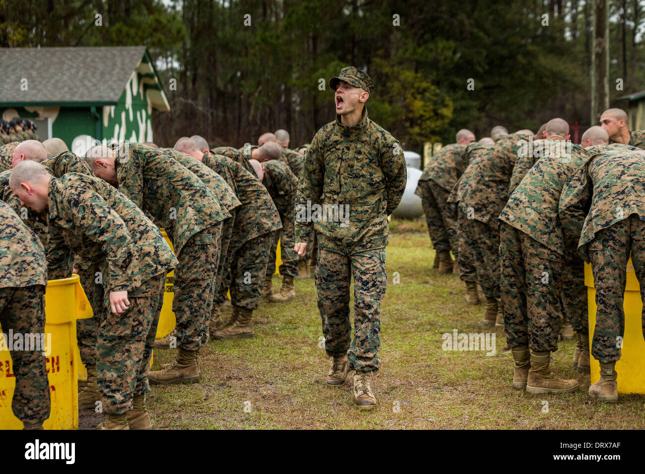 US Marine Corps drill instructor shouts instructions to recruits after exiting the gas chamber during boot camp January 13, 2014 in Parris Island, SC. Stock Photo