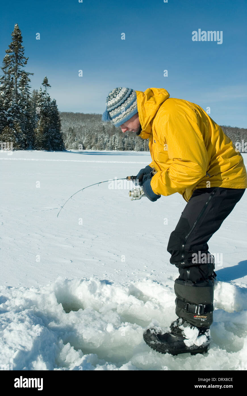 Fisherman catching a winter brook trout ice fishing Stock Photo Alamy
