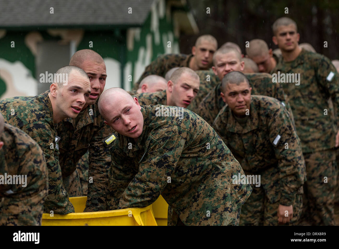 Marines boot camp parris island hi-res stock photography and images - Alamy