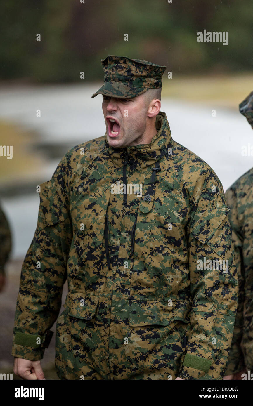 US Marine drill instructor yells orders to recruits during boot camp ...