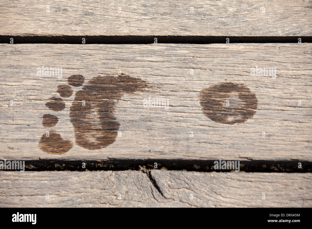 Wet footprint on wooden plank Stock Photo Alamy