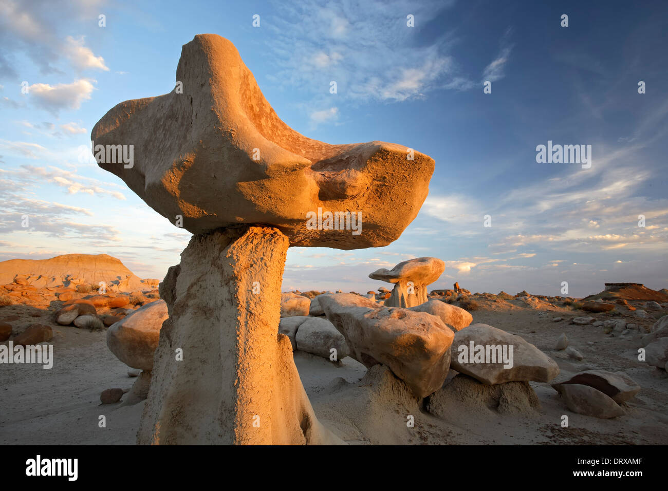 "Mushroom" rocks and boulders, Bisti De-Na-Zin Wilderness Area, New Mexico USA Stock Photo