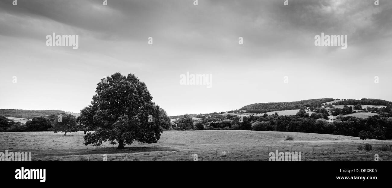 View of the English countryside Stock Photo