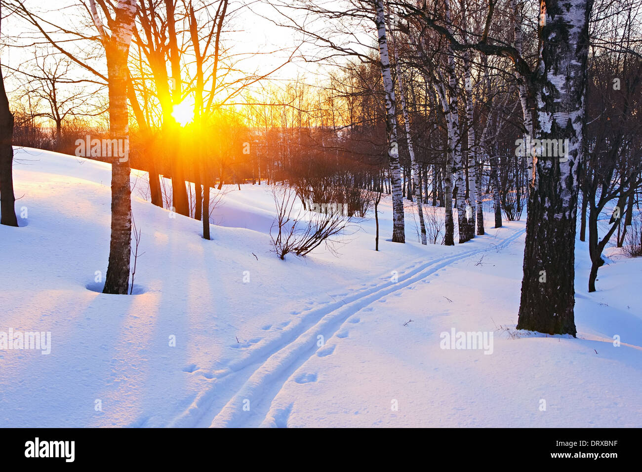Winter forest sunset landscape hi-res stock photography and images - Alamy