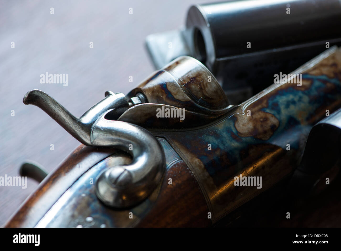 The broken barrels of a Cogswell & Harrison rifle close up, with colour ...