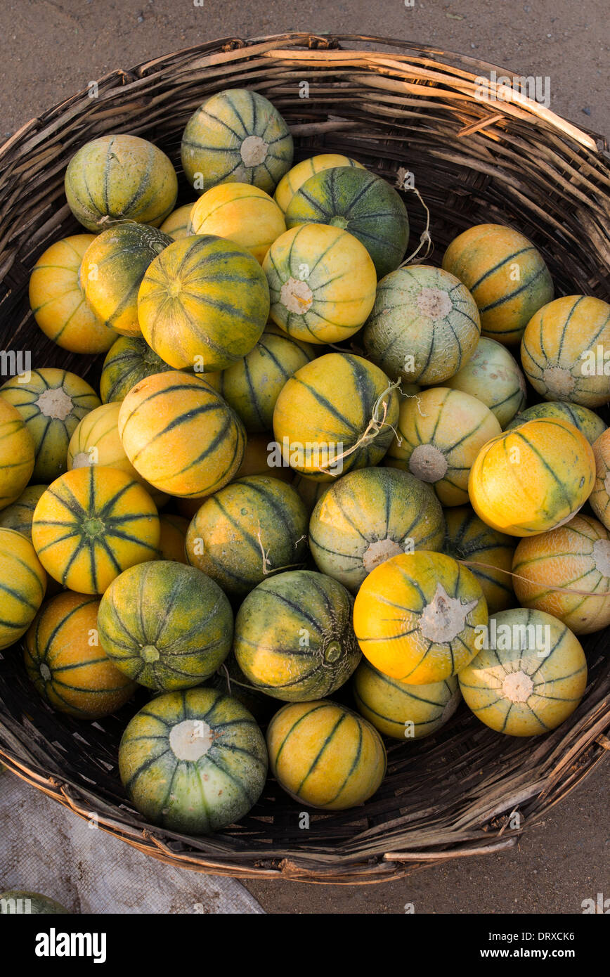 Fresh Melons for sale in a basket at an Indian market. Andhra Pradesh