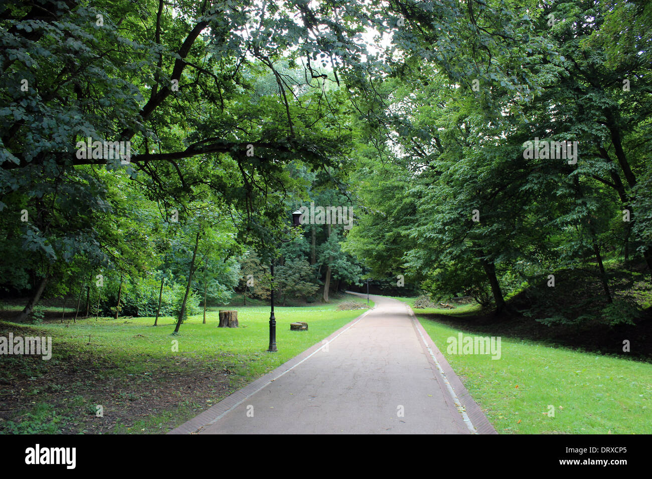 image of path in great park with green grass Stock Photo - Alamy