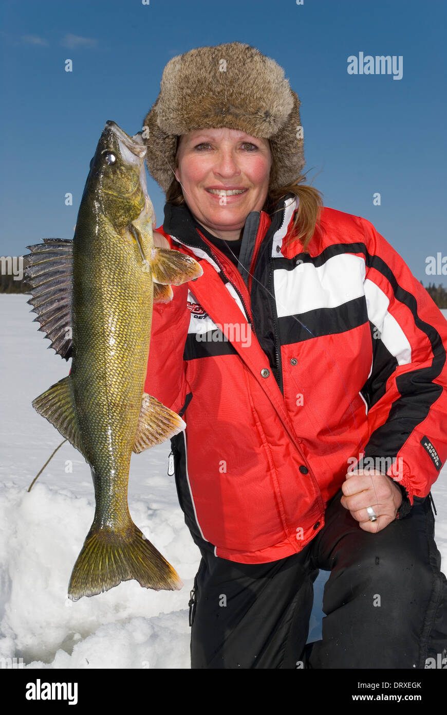 Woman holds up a winter walleye she caught ice fishing Stock Photo Alamy