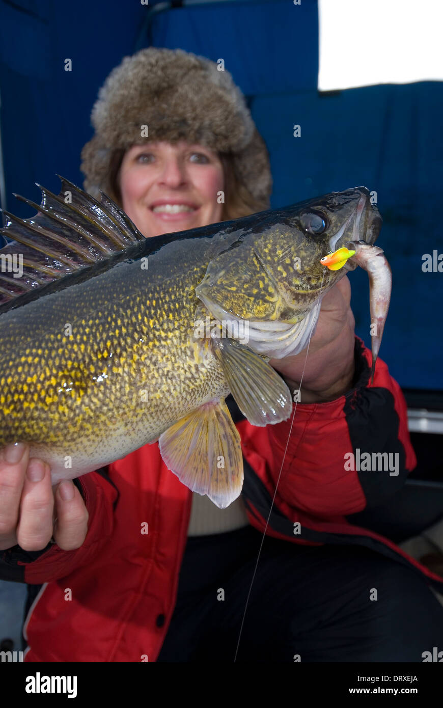 Woman holds up a winter walleye she caught ice fishing Stock Photo Alamy