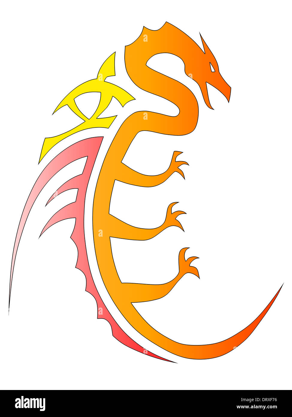 Illustration of a beautiful dragon on a white background. Stock Photo