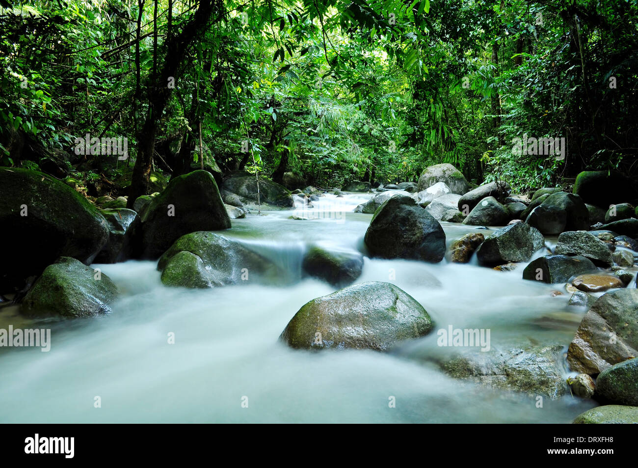 Tua River in Malaysia Stock Photo