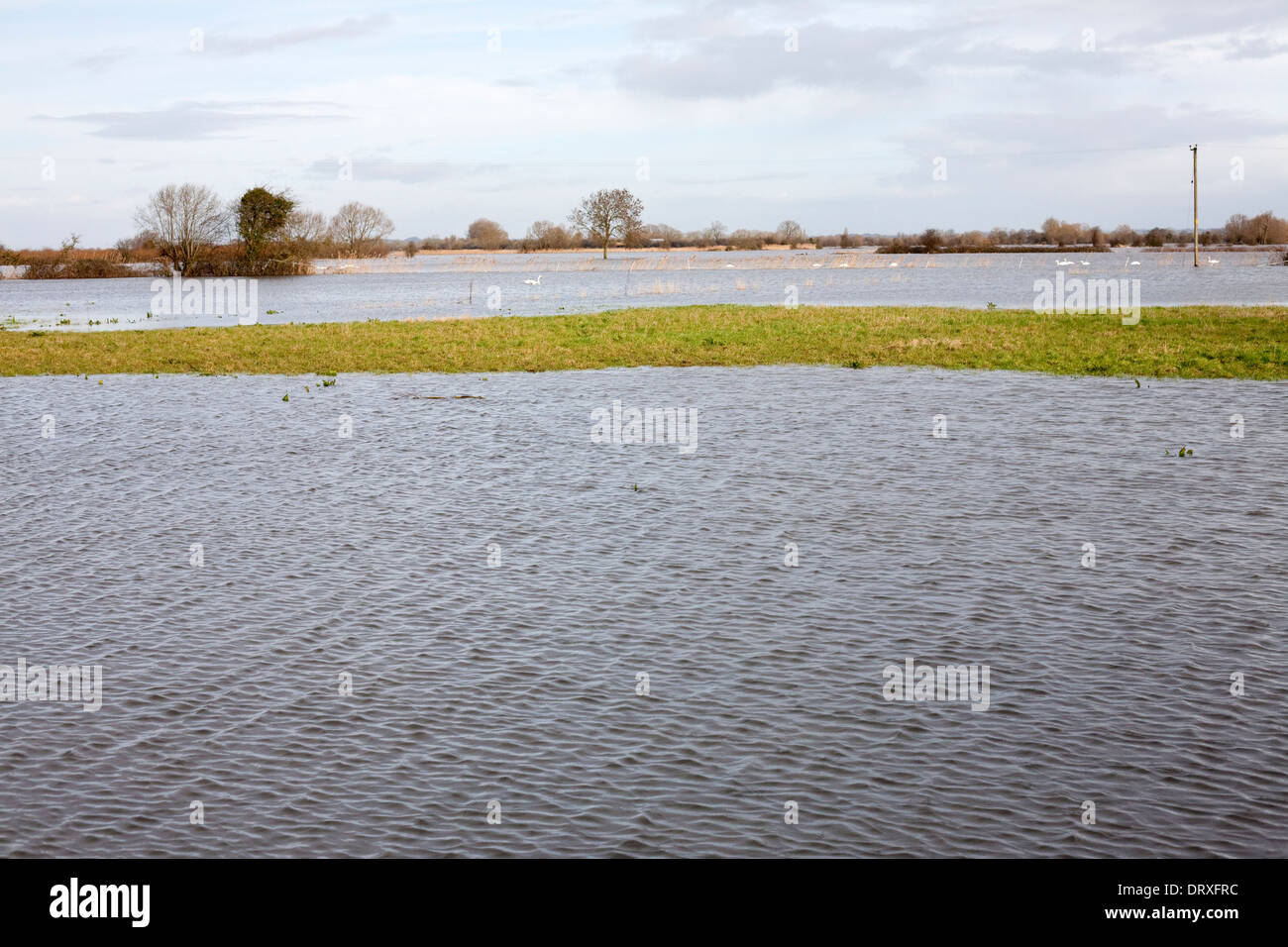 fields on the Somerset levels flooded due to storms that hit the south west in 2014 Stock Photo
