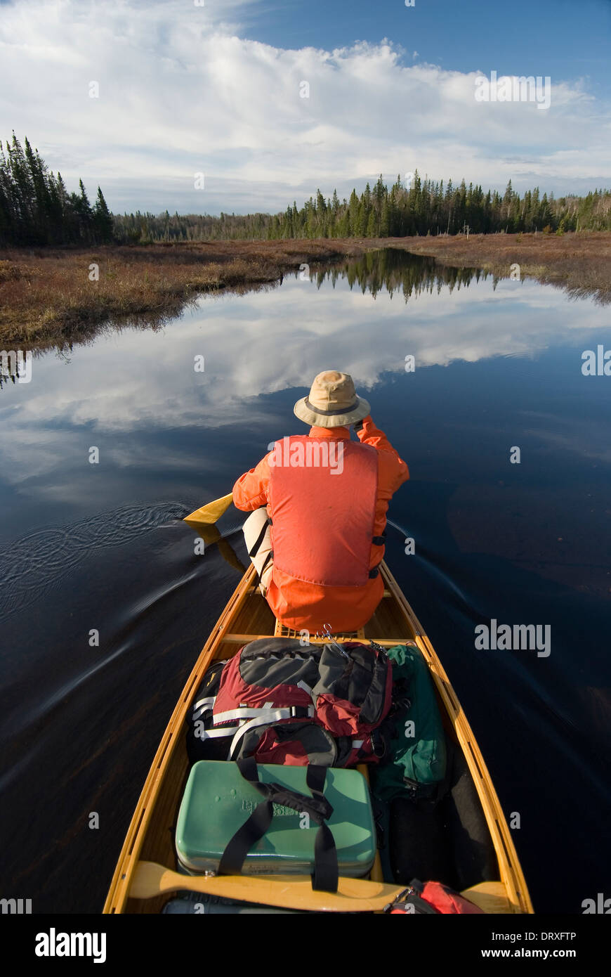 Paddling canoe ontario hires stock photography and images Alamy