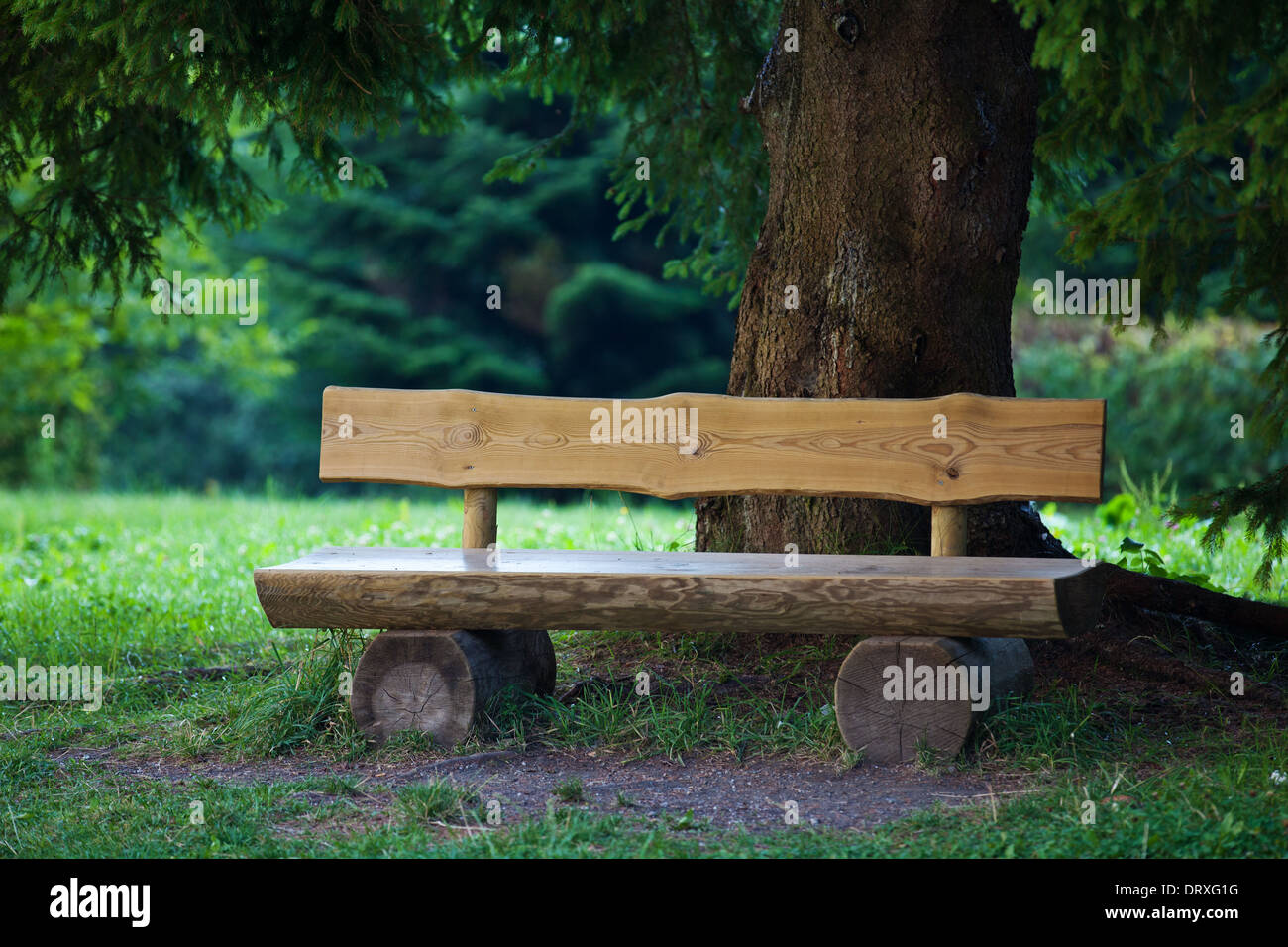 Bench under tree hires stock photography and images Alamy
