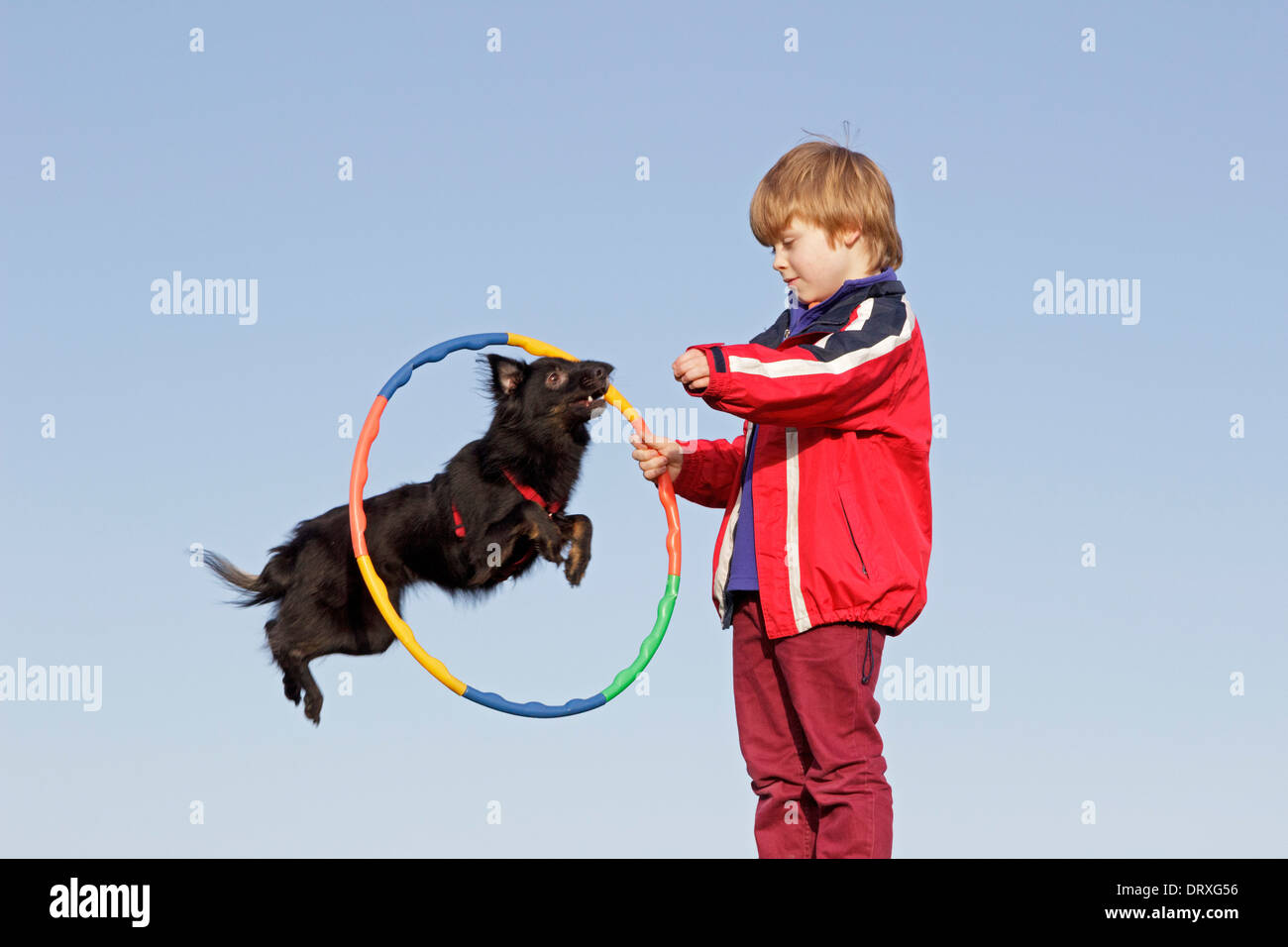 young boy making his dog jump through a hoop Stock Photo Alamy
