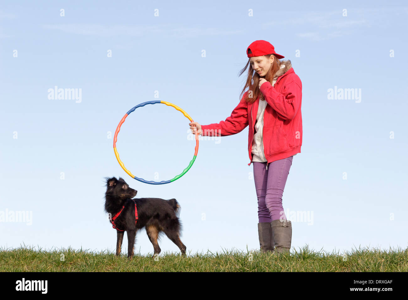 young girl trying to make her dog jump through a hoop Stock Photo