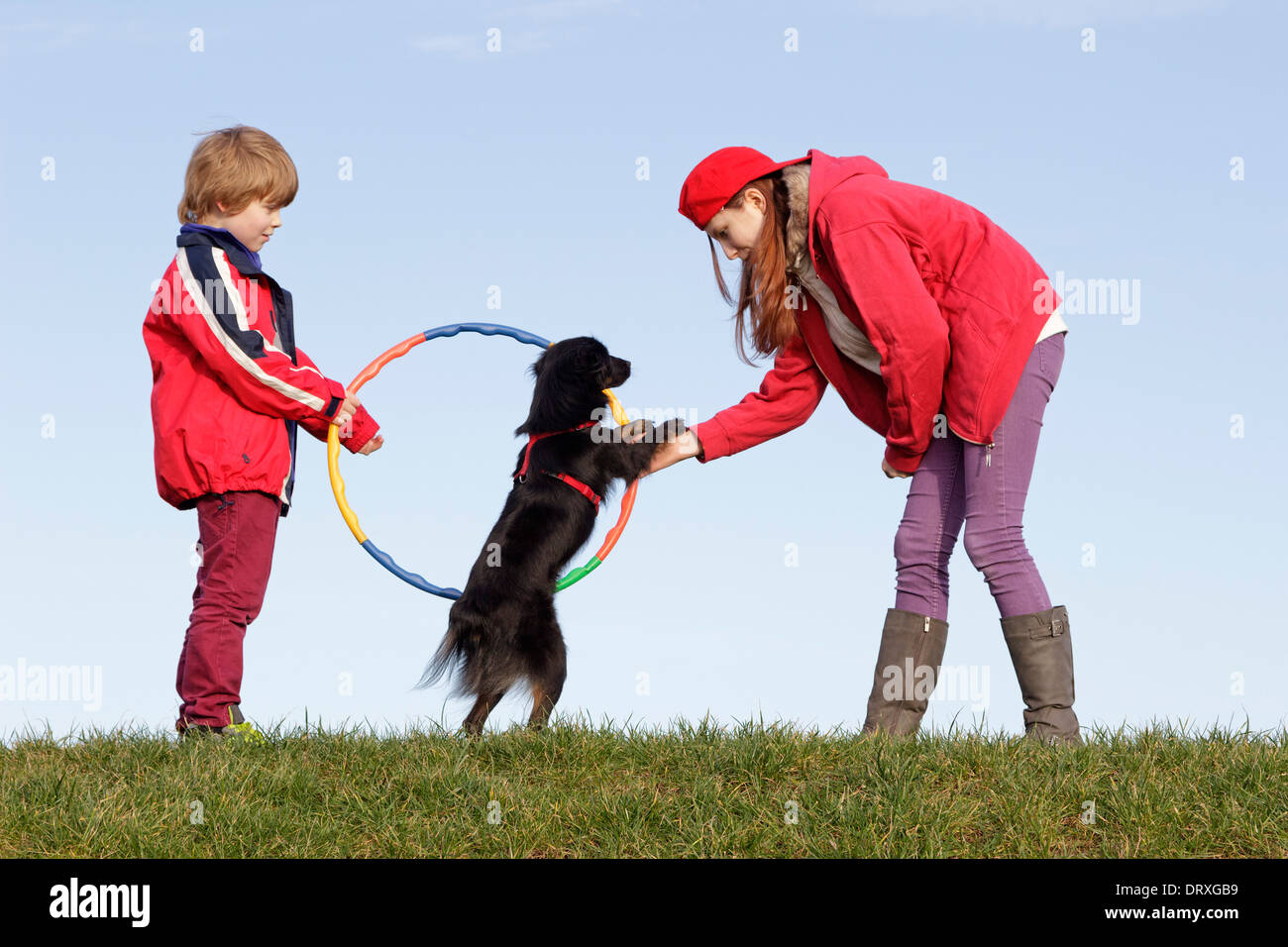 young boy and girl making their dog jump through a hoop Stock Photo Alamy