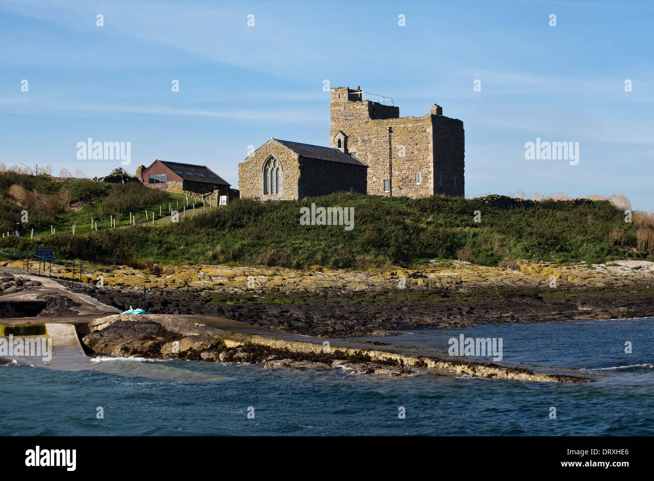 Farne islands hires stock photography and images Alamy