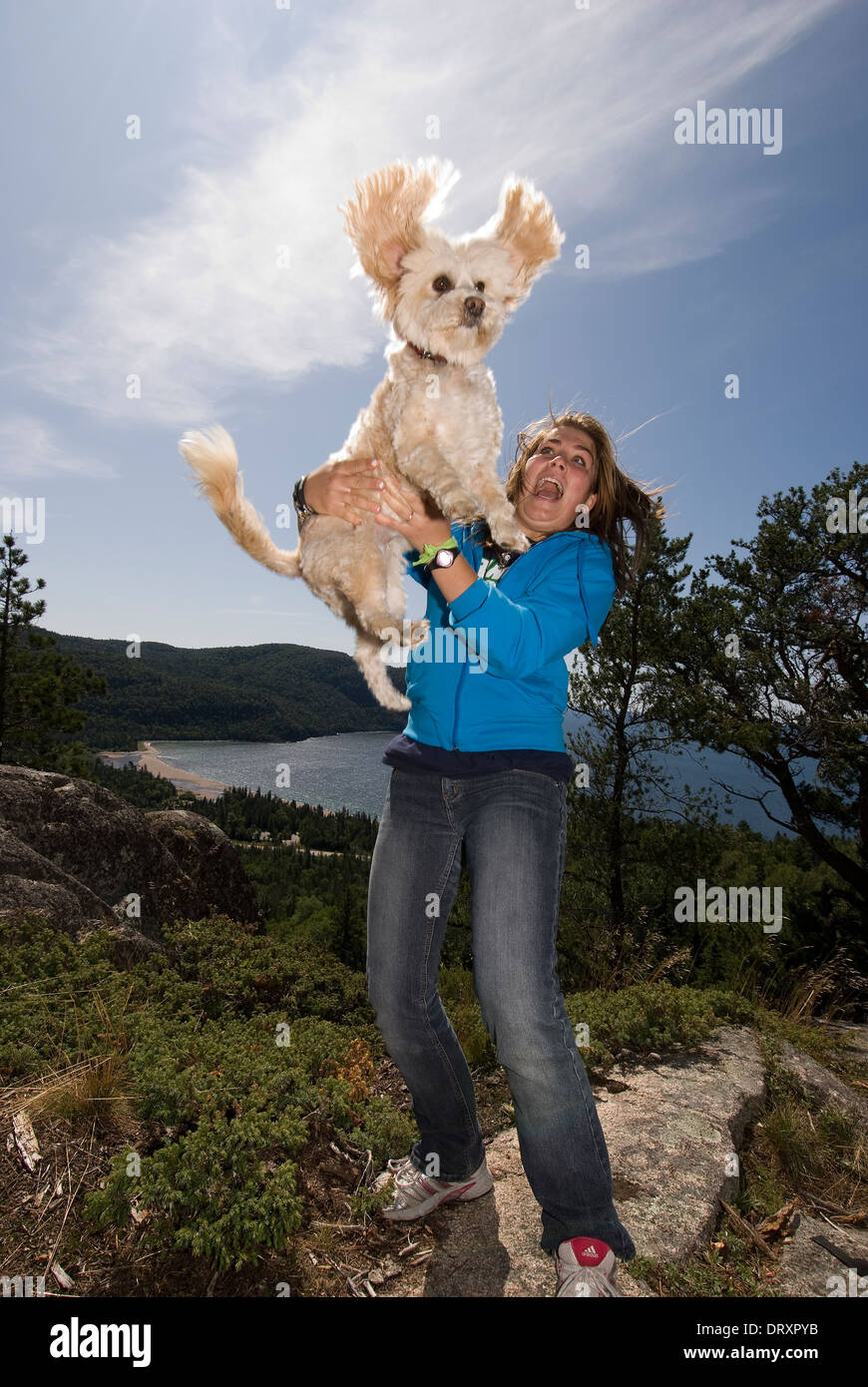A young girl throws her pet dog in the air Stock Photo Alamy